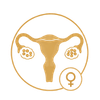 PCOS and PCOD Diagnosis and Treatment Icon