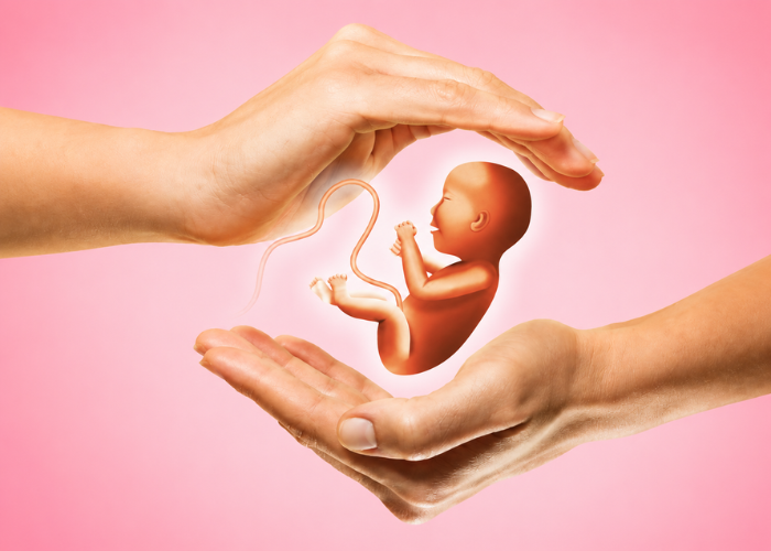 Dr. Shruti Shah consulting a couple for infertility treatment and reproductive health